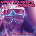Bongo Boy Records, Vol. XXI by Various Artists - Digital Download