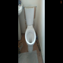 Bust toilet - Digital Download