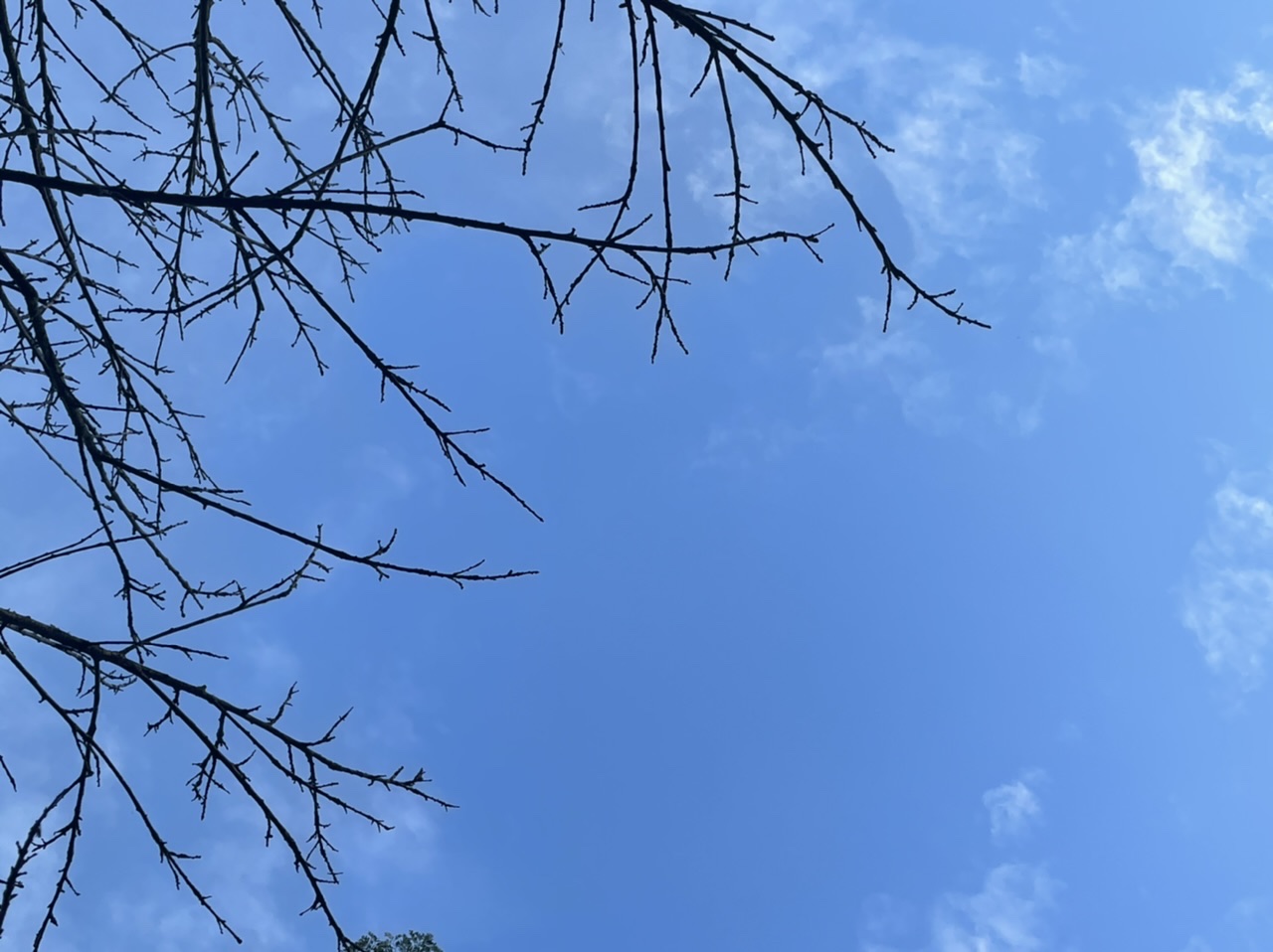 Broken sky Photos and Images Nature