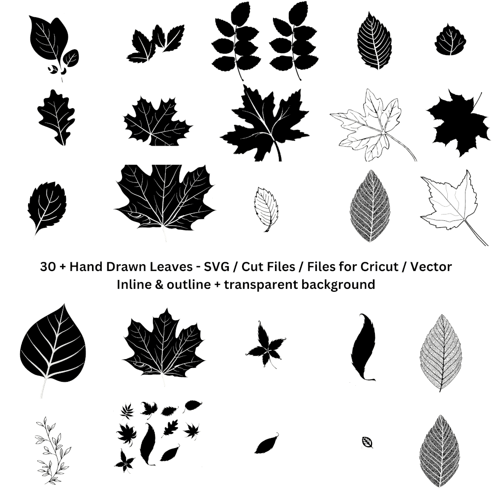 60 + Leaf and Flower patterns & outlines in PNG, SVG,EPS, DXF, JPG ...