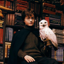 Harry Potter music - Digital Download