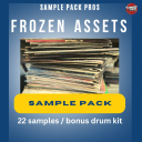 Frozen Assests Pack - Digital Download