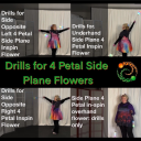 Drill Library for 4 Petal Side Plane Inspin Flowers - Digital Download