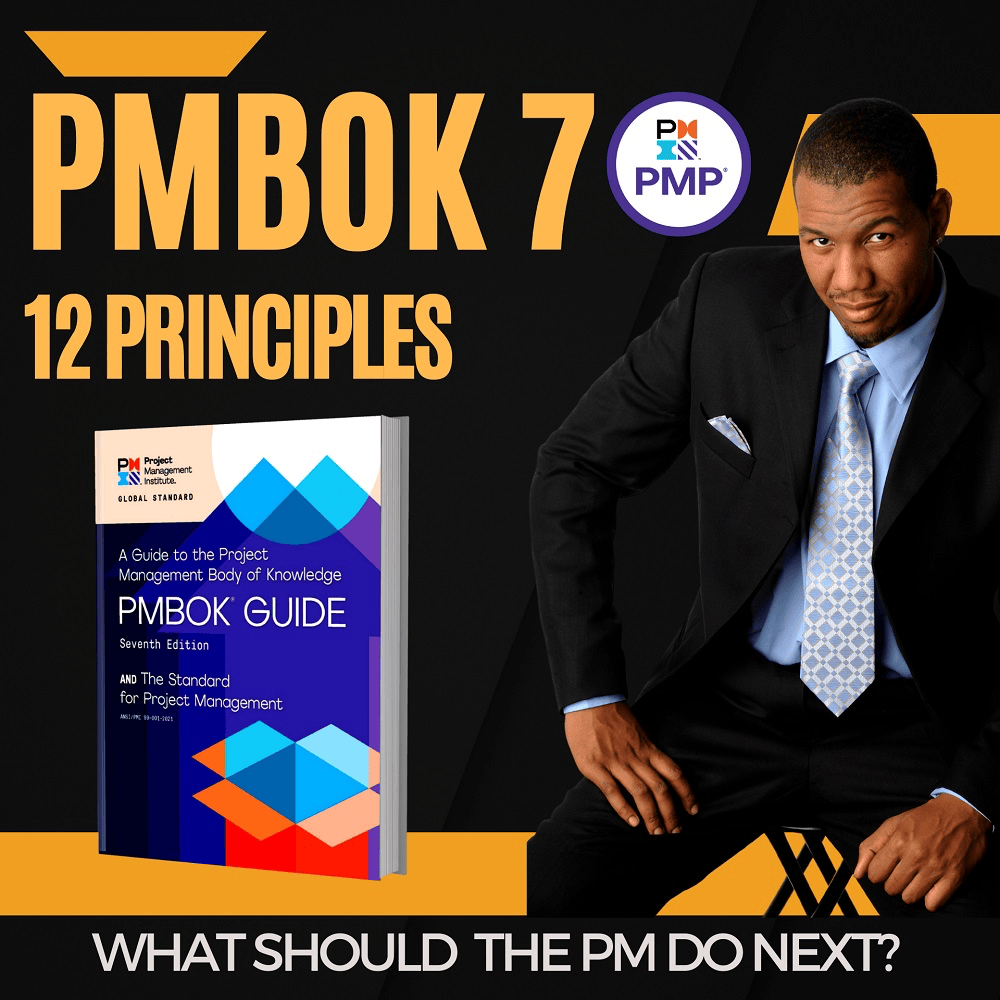 PMBOK Guide 7th Edition: 12 Principles of Project Management - Digital Download