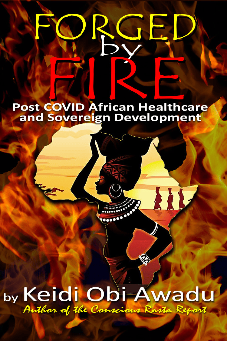FORGED BY FIRE: Post COVID-19 African Healthcare and Sovereign Development - Digital Download