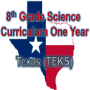 texas teks