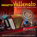 Reggaeton Vallenato - Digital Download