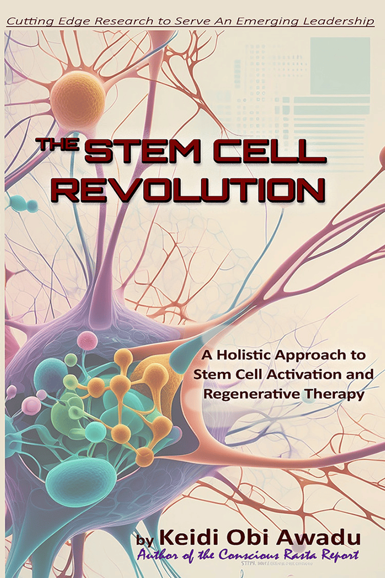 The Stem Cell Revolution eBook - Digital Download