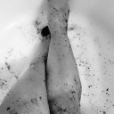 Bathroom Wall Decor - Digital Download