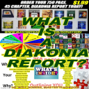 what is a diakonia report? = what's inside the 750 page diakonia report pdf ebook