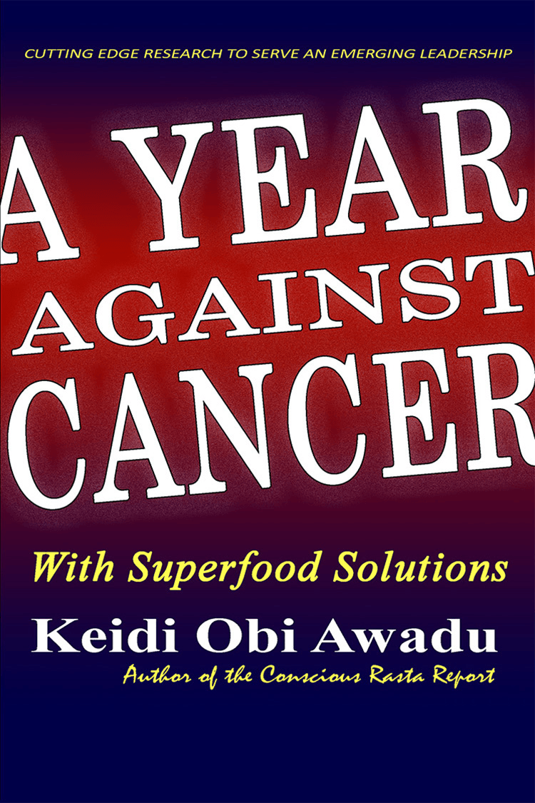 A Year Against Cancer eBook - Digital Download