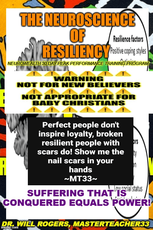 Neuroscience of Resiliency = Illuminator pt60 of 180 = INTRO#4 = NEUROWEALTH 30 DAY PEAK PERFORMANCE TRAINING PROGRAM - Digital Download