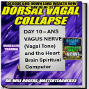 Illuminator Series pt121&122 = DAY 10 = VAGAL TONE Book & Audio =Decode God Download Wealth NOW = Day 10pt1&2 = R.A.S. Dorsal Vagal Nerve Collapse=Inescapable and Overwhelming - Digital Download