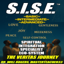 SPIRITUAL INTEGRATION SPECIALIST ECOSYSTEM = Illuminator Series pt162 = S.I.S.E. =Veritas Journey Basic System= Book and 5 Hour Audio Series - Digital Download