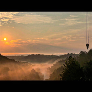 Photos - Digital Download