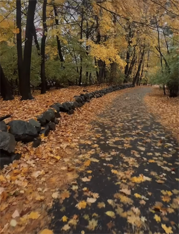 Fall Street - Digital Download