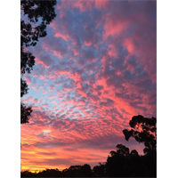 Pink Sky - Digital Download