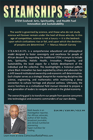STEM Evolved: Arts, Spirituality, and Health Fuel Innovation and Sustainability - Additional View 1