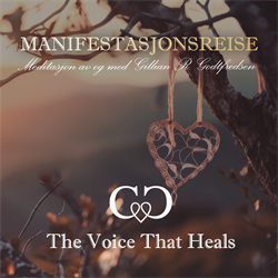 Manifestasjonsreise - Digital Download
