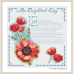 The Brightest Day - Digital Download