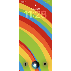 Zzm27544 - Digital Download