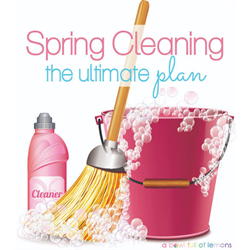 Cleaning toolkit - Digital Download