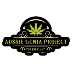 AGP Logo T-Shirt - Digital Download