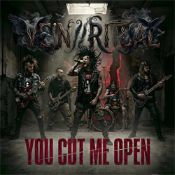Vein//Ritual - You Cut Me Open - Digital Download