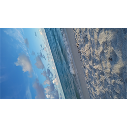 capturing nature's finest moments - Digital Download