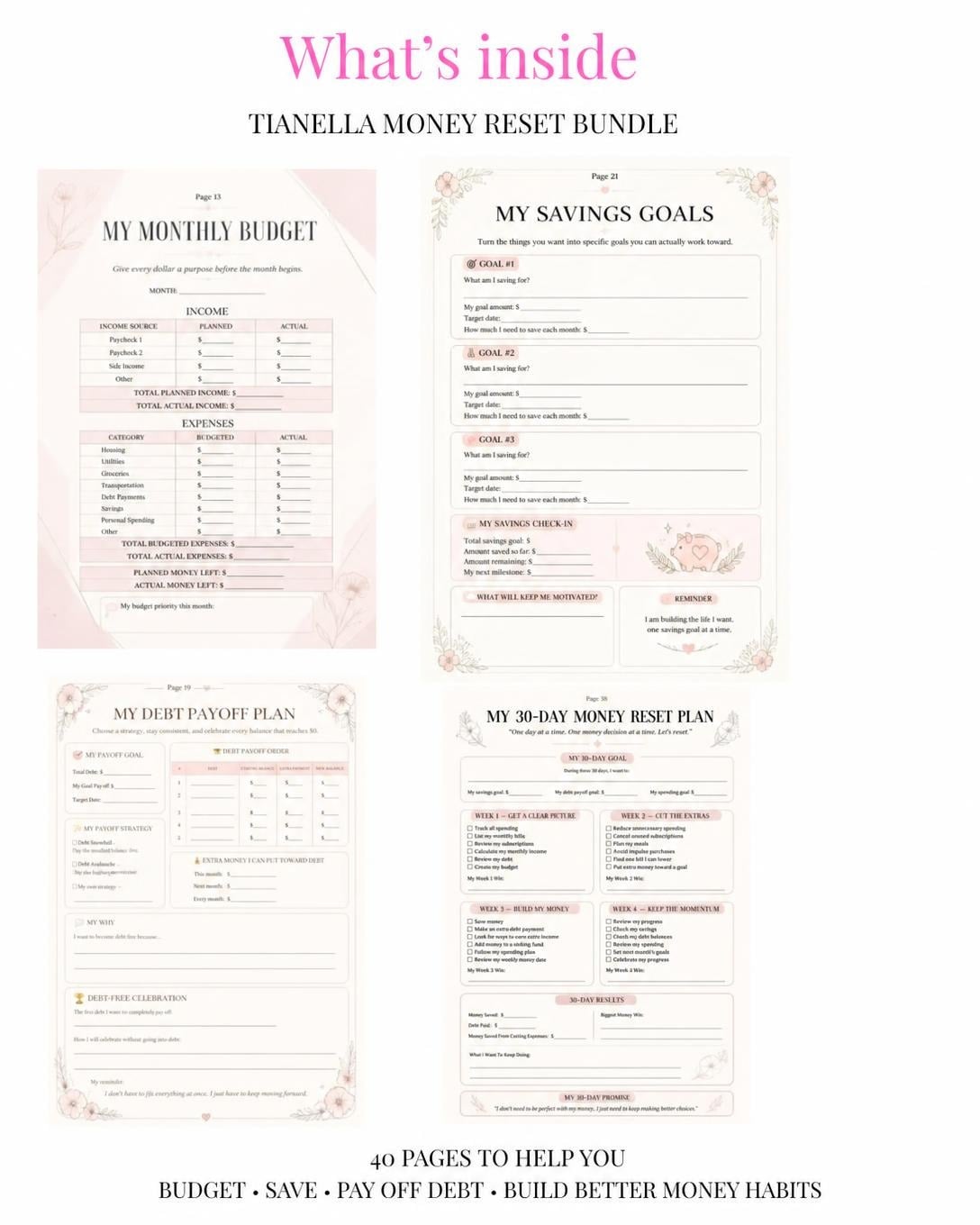 Tianelle Money Reset Bundle - Additional View 2