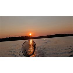 Sunsets - Digital Download