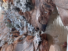 Nature Photography - Digital Download
