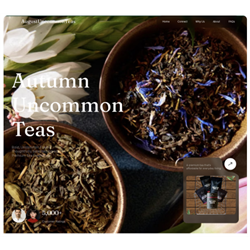 MoonlitMint Template - Digital Download
