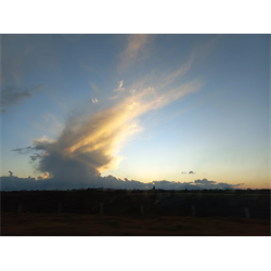 Nube - Digital Download