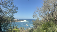 Selling Pretty Photos Collection - Digital Download