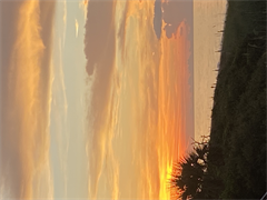 Sunset - Digital Download