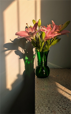 Nature Photography - Digital Download
