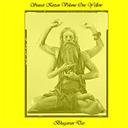 mp3 download: bhagavan das live! sunset kirtan, volume #1
