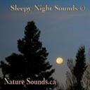 sleepy night sounds