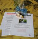 hfpe night of living waters