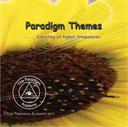 paradigm themes