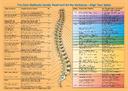 connection chart poster