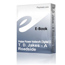 t. d. jakes - a roadside service