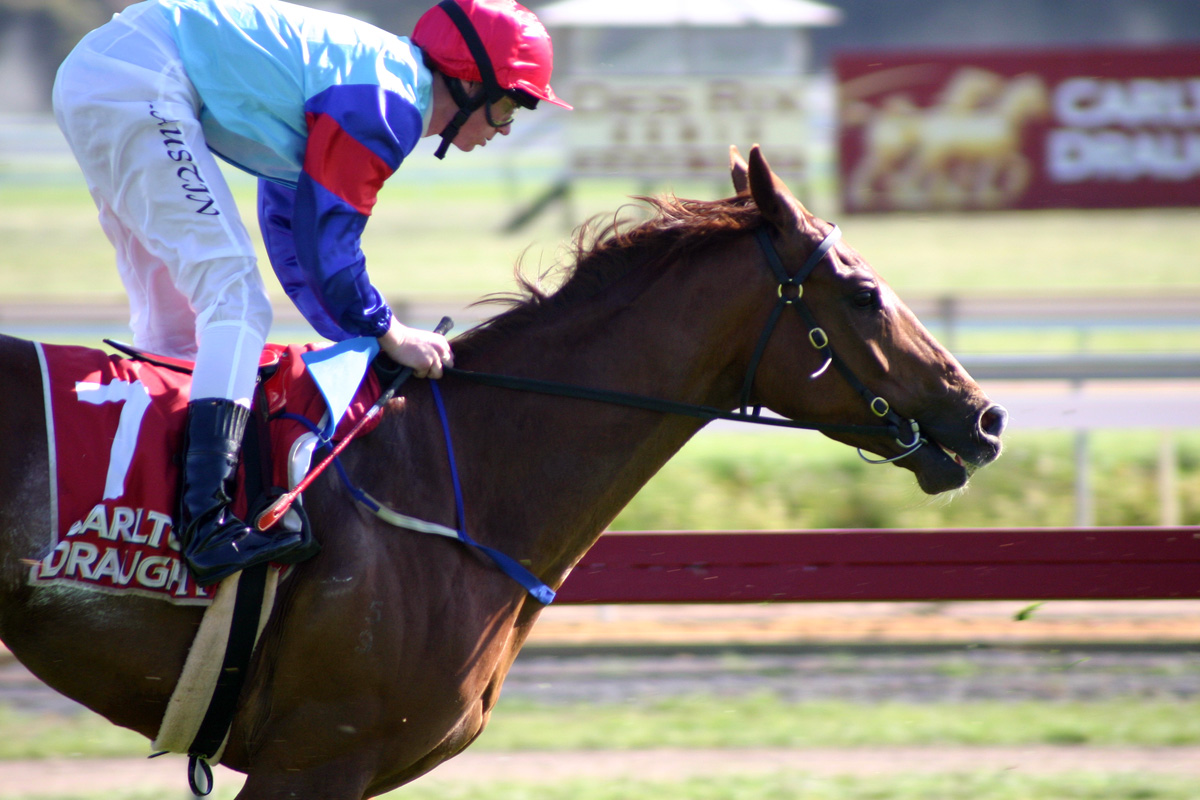 My Secret Horse Racing Systems - Digital Download