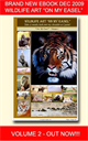 learn to paint wildlife vol 2