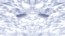 acid trippy bunny hd video
