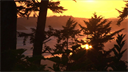 golden ocean sunset hd