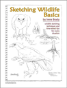 sketching wildlife basics