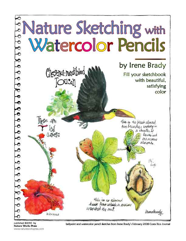 nature sketching with watercolor pencils