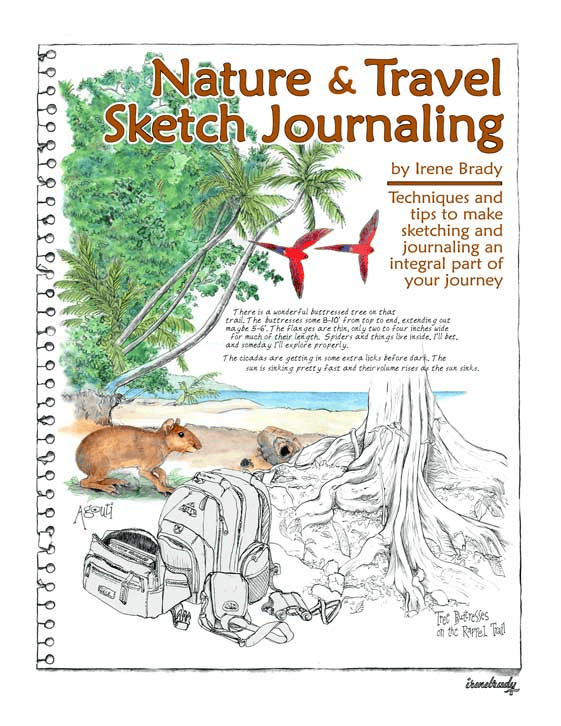 nature & travel sketch journaling
